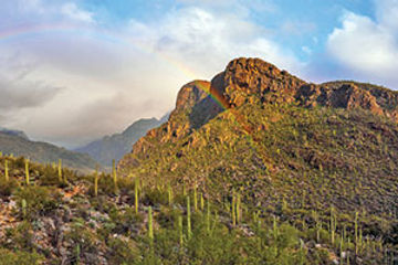 Tucson, Ariz.
